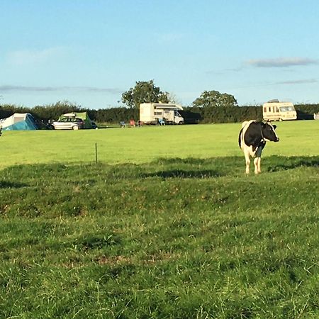 فندق Carreg Y Gwynt Campsite - Touring And Tent Pitches Llanarth  المظهر الخارجي الصورة