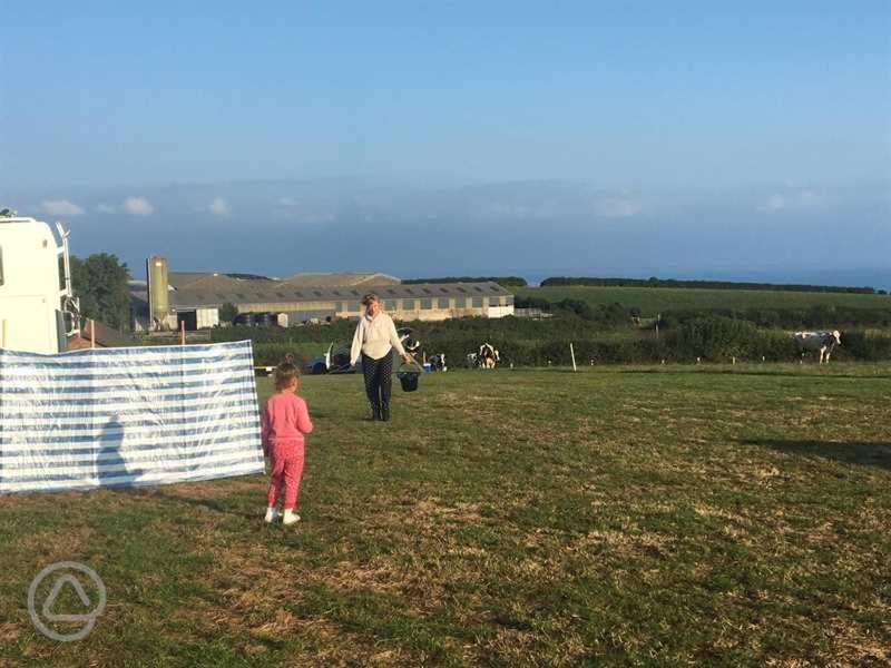 فندق Carreg Y Gwynt Campsite - Touring And Tent Pitches Llanarth  المظهر الخارجي الصورة